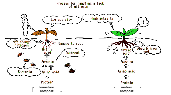 Process of nitrogen deficiency